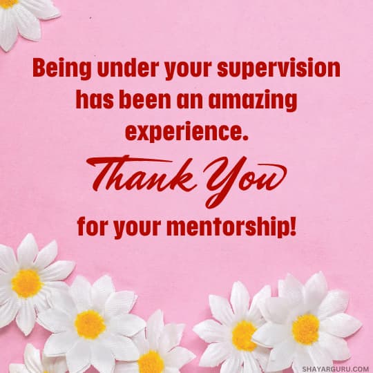 Appreciation Message To a Mentor