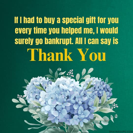 Appreciation Quotes To Show Your Gratitude