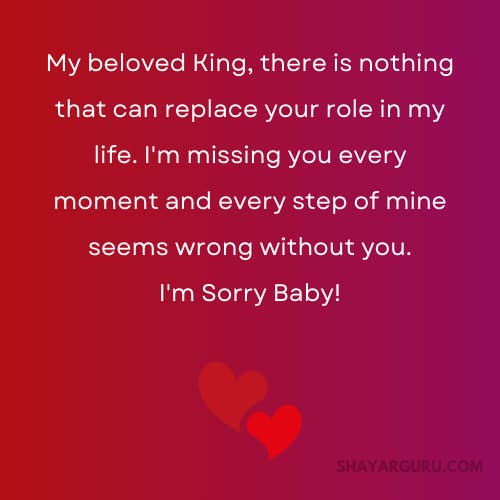 Funny Apology Messages for Him