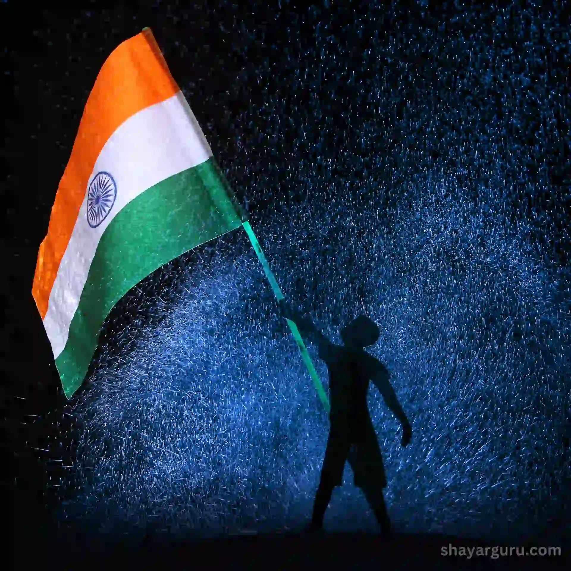 India flag dp
