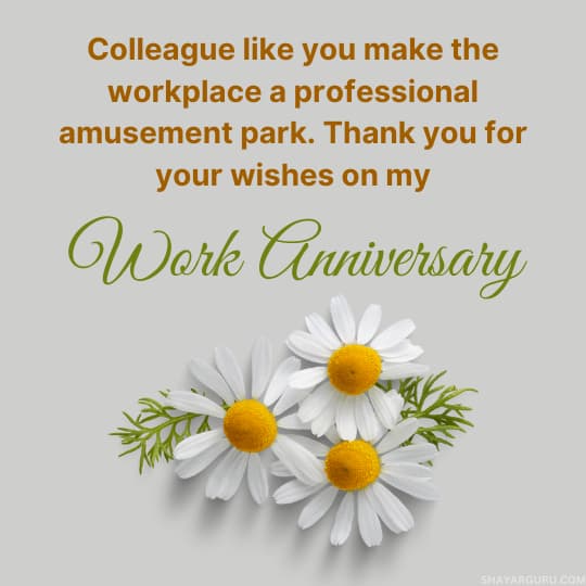 Job Anniversary Wishes Reply To Colleague