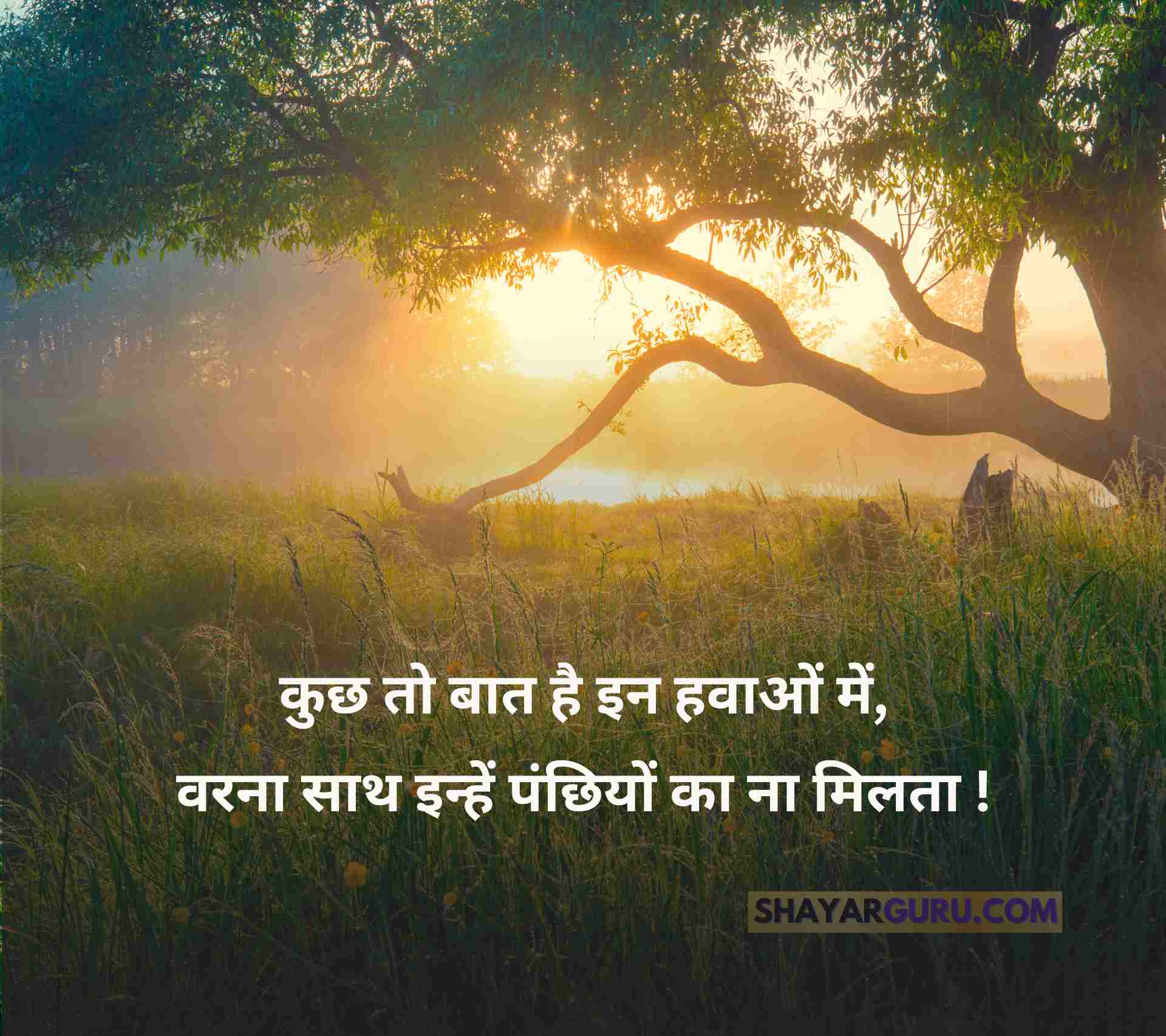 Nature Quotes Status in Hindi