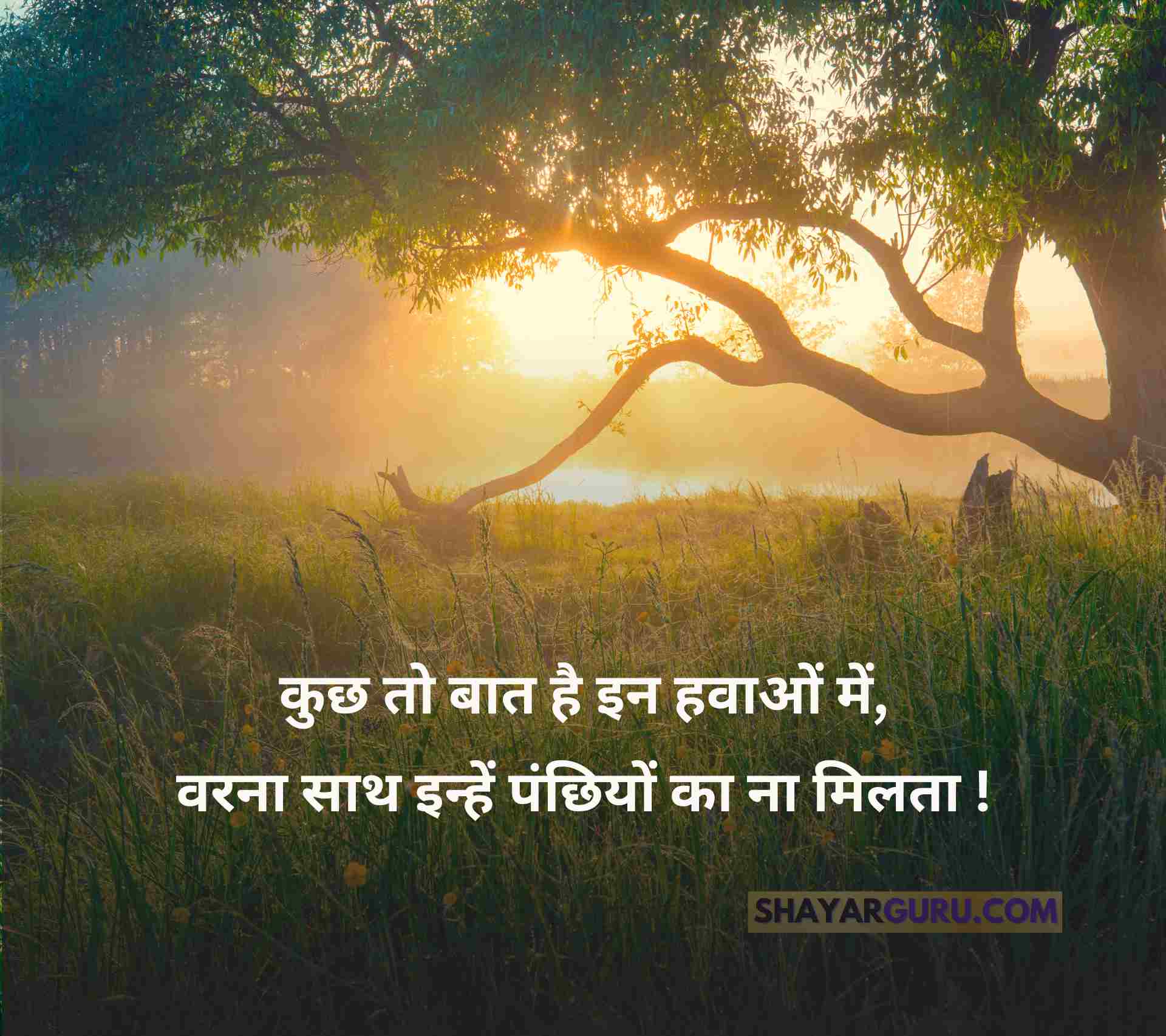 80 Nature Quotes In Hindi Best 