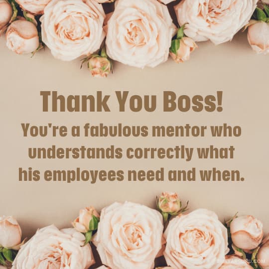 Thank You Message To Boss For Increment/Bonus