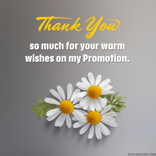 Thank You Message for Promotion Wishes