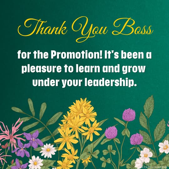 Thank You Messages To Boss for Promotion