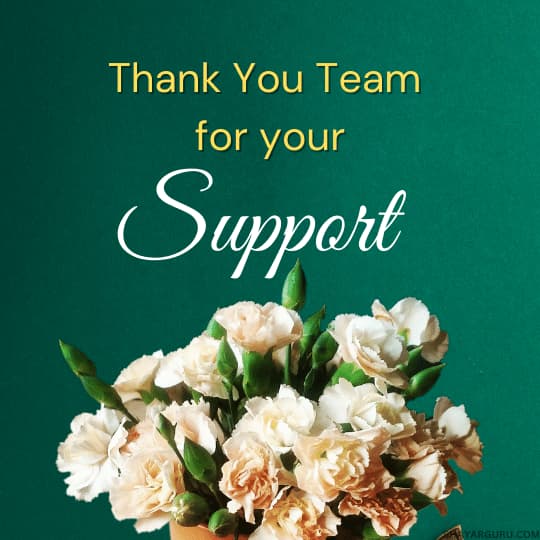 Thank You Message To Team Members For Support