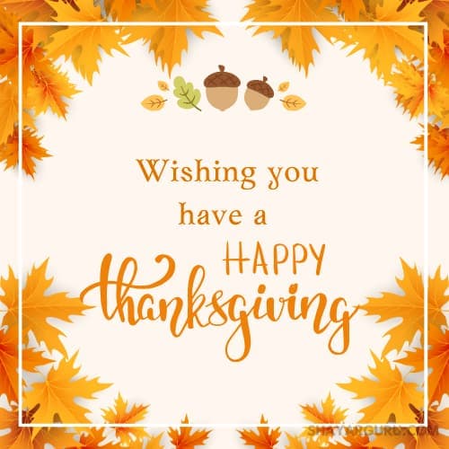 wishing you have a happy thanksgiving