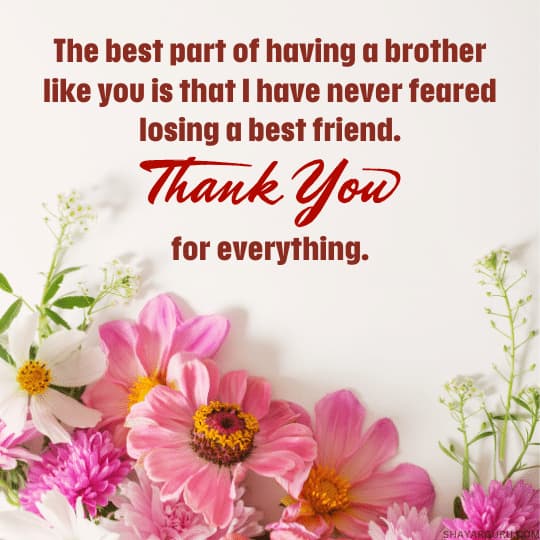 appreciation message to my brother