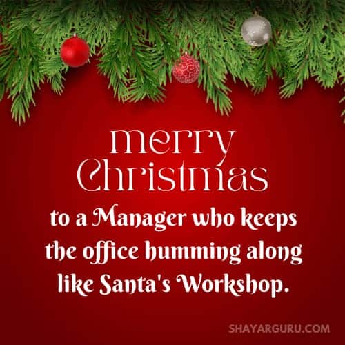 Christmas Wishes To Manager/Senior/Sir