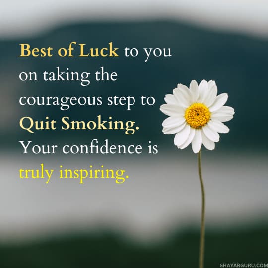 Congratulation Messages To A Sibling For Quitting Smoking