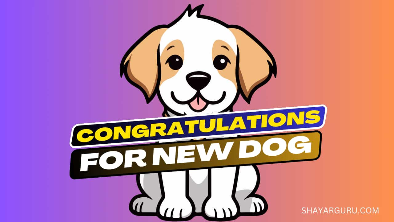 New Dog Wishes - 99 Best Congratulations Messages For Puppy