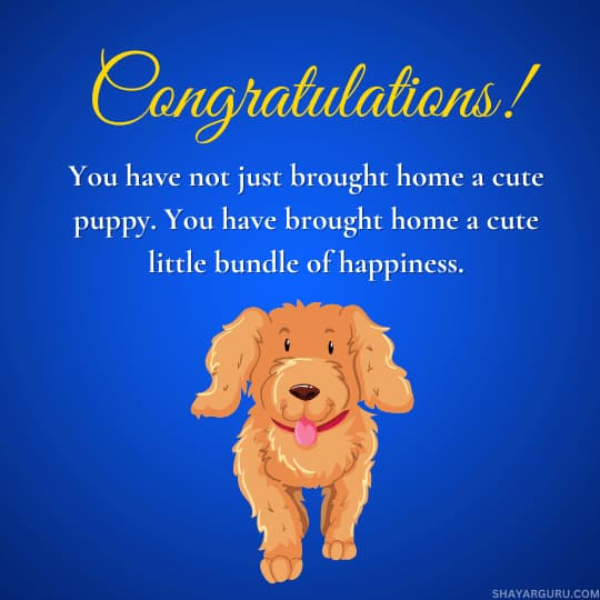 congratulations on your new dog quote