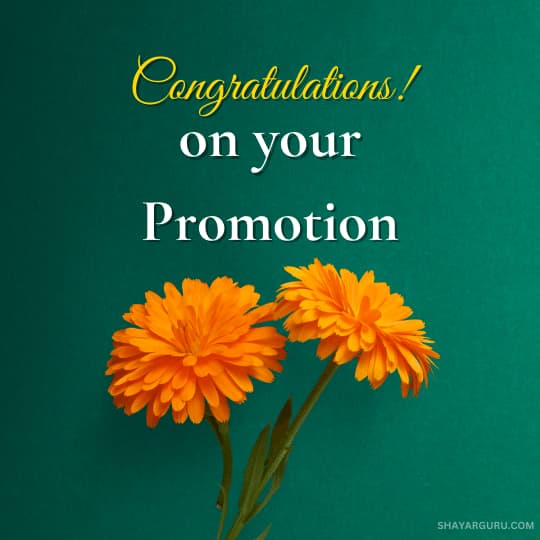 Congratulation Messages For Colleague Promotion