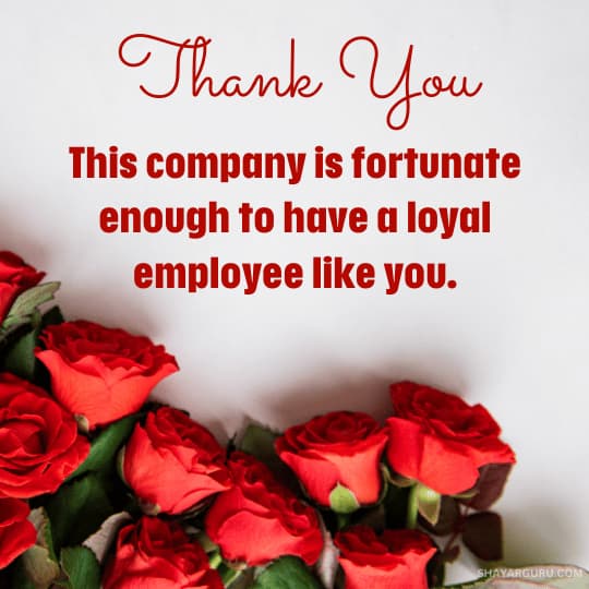 employee appreciation message