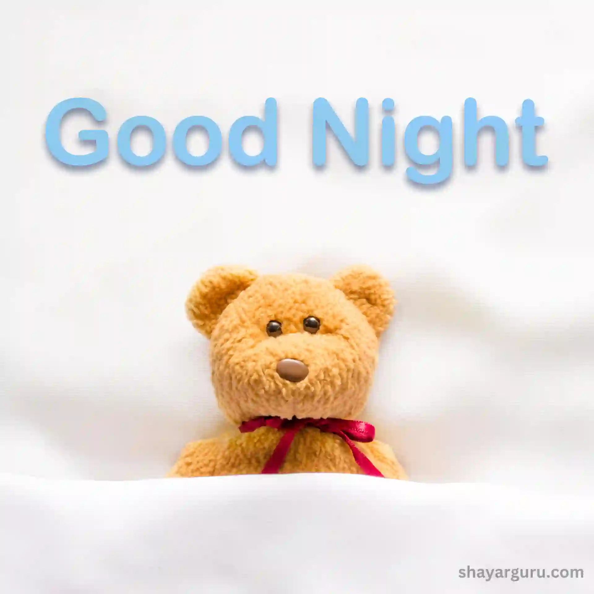 Good Night Teddy