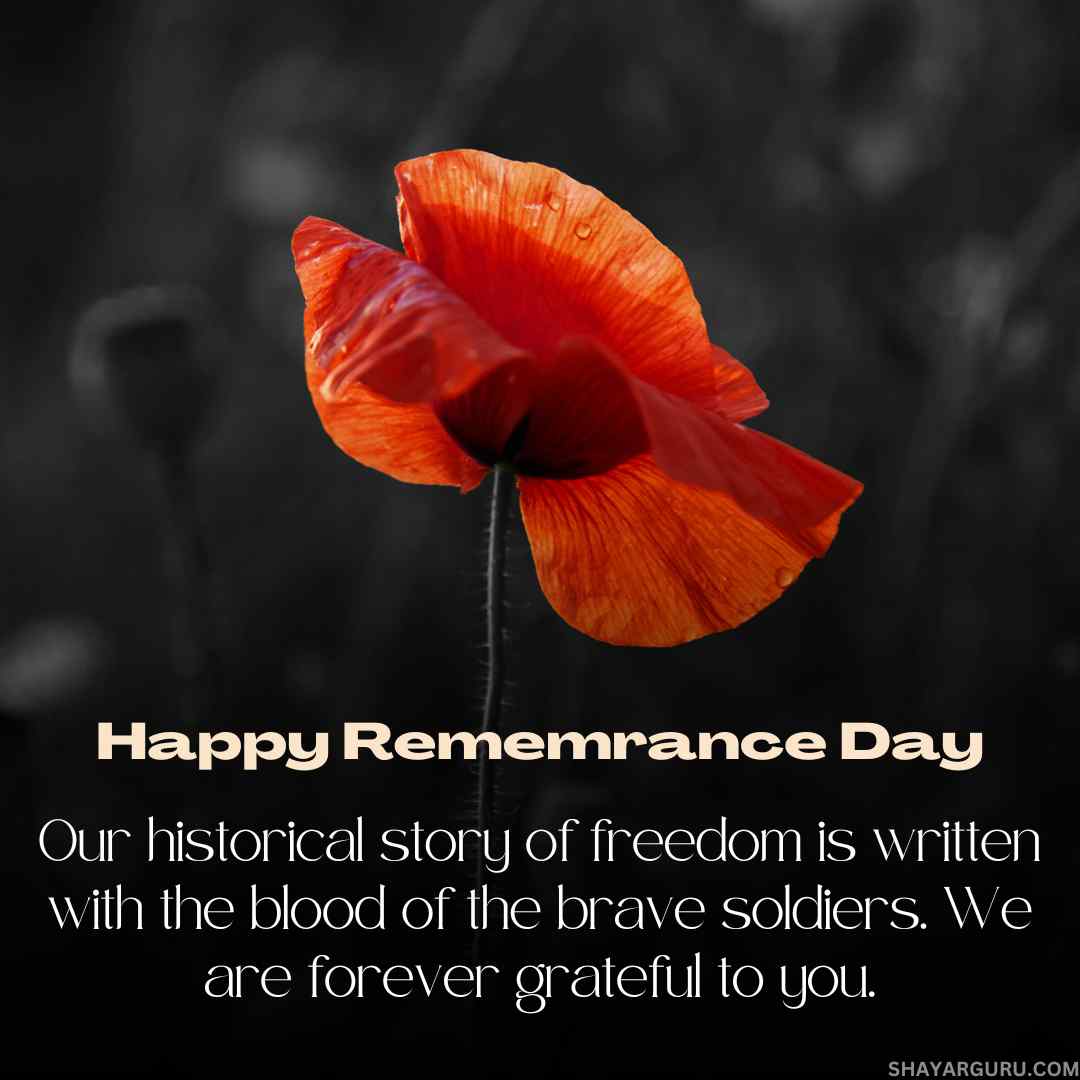 remembrance day message