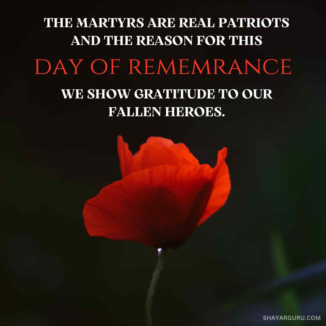 remembrance day quotes to all the deceased soldiers