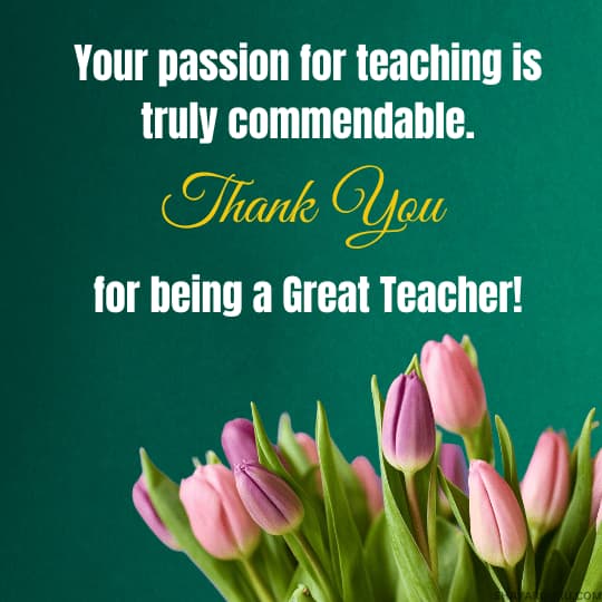 teacher appreciation message