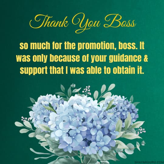 Thank You Boss For Promotion & Job Recognition