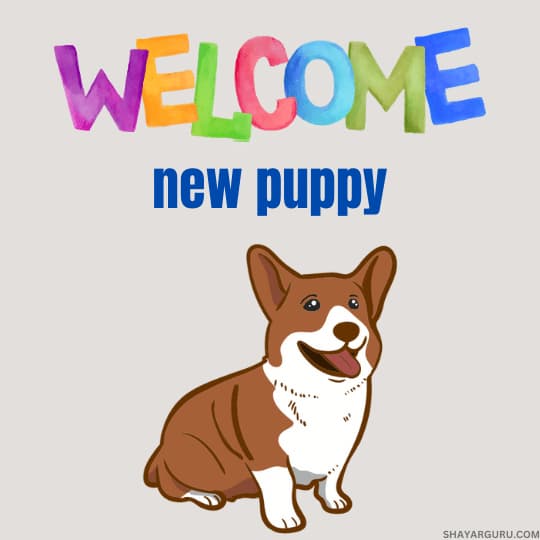 welcome new puppy message