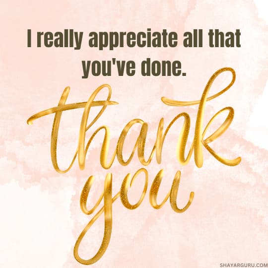 words to say thank you and appreciation